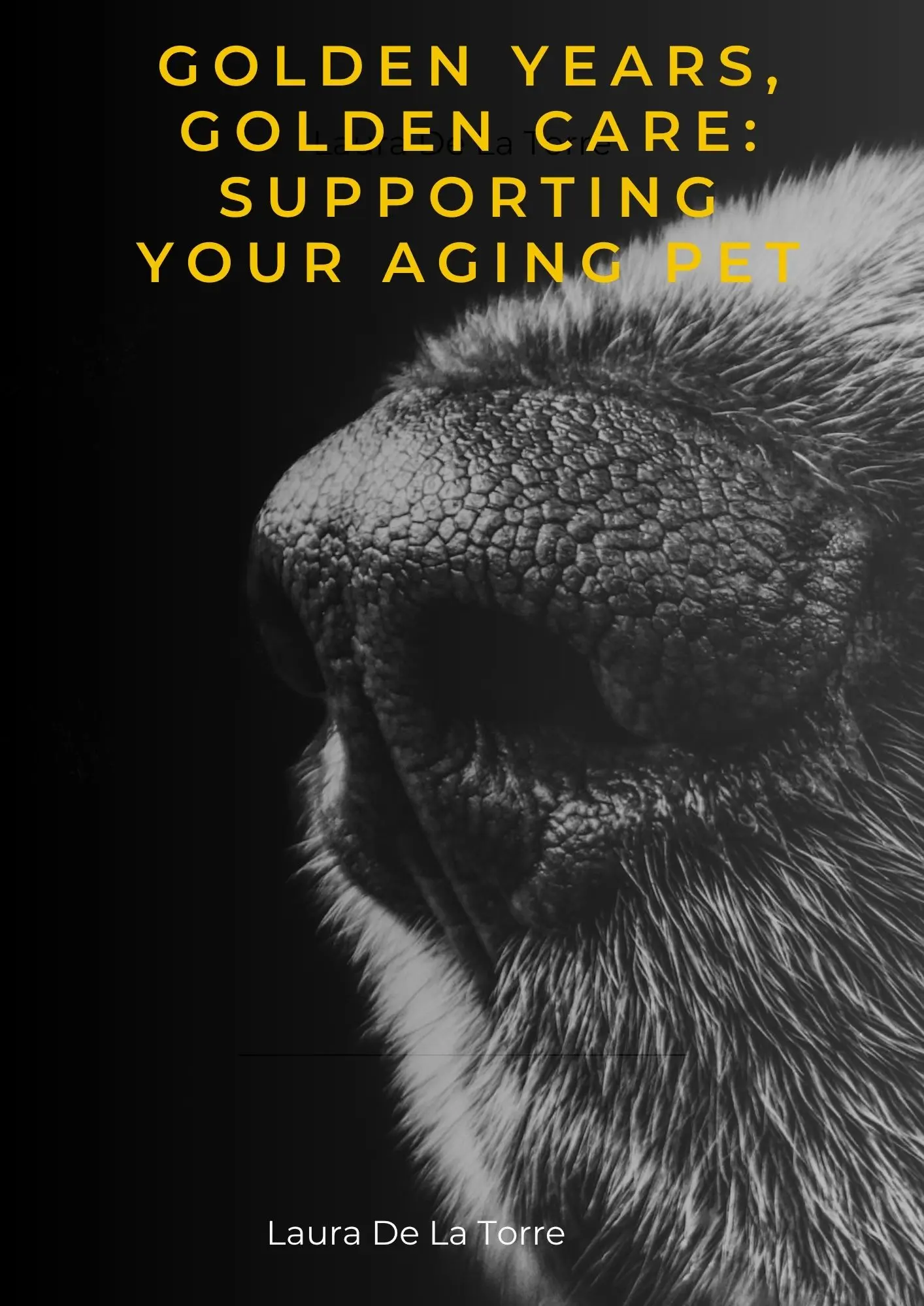 Golden Years, Golden Care: Supporting Your Aging Pet
